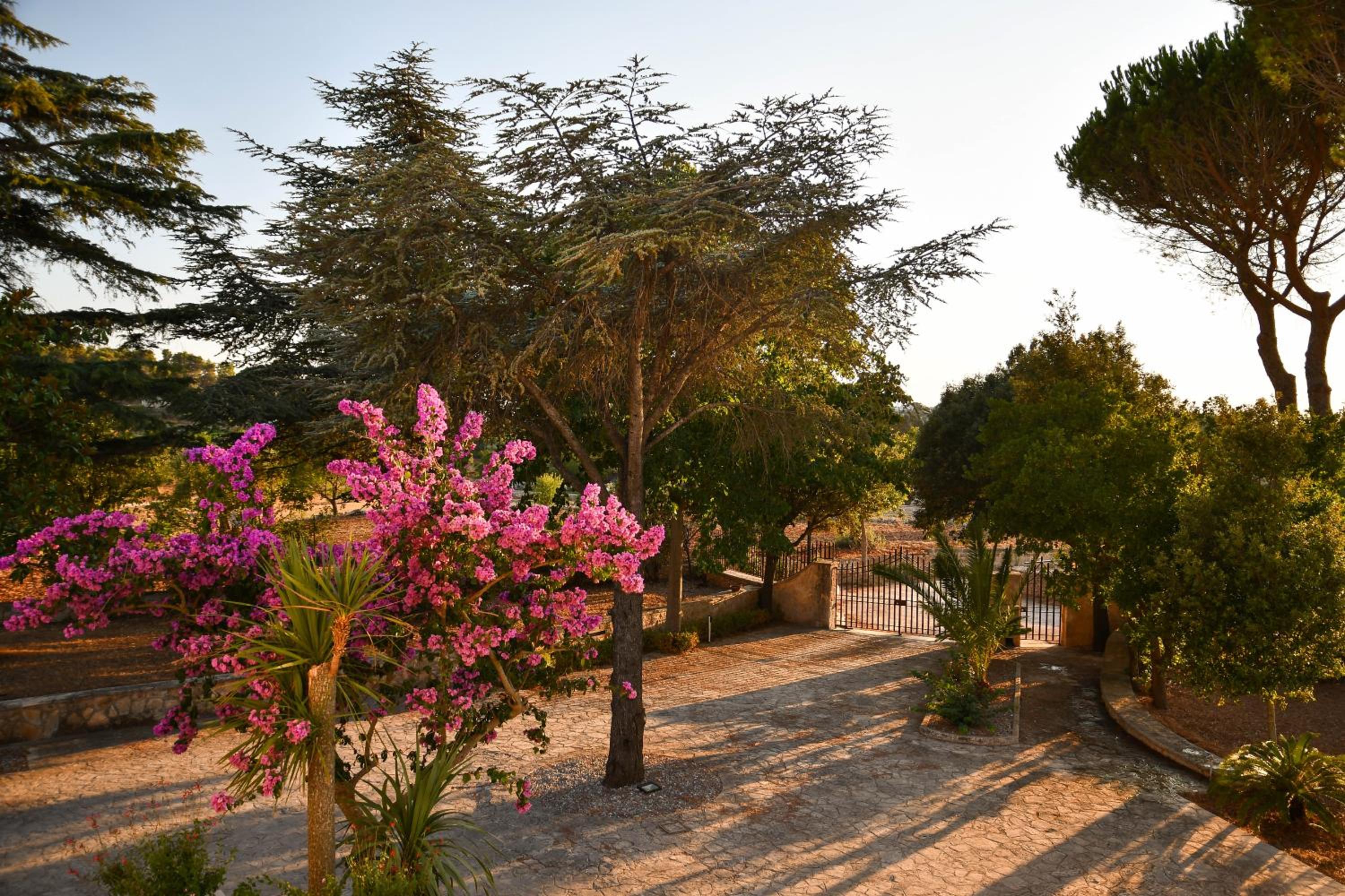 Villa Cinque Pini view 3