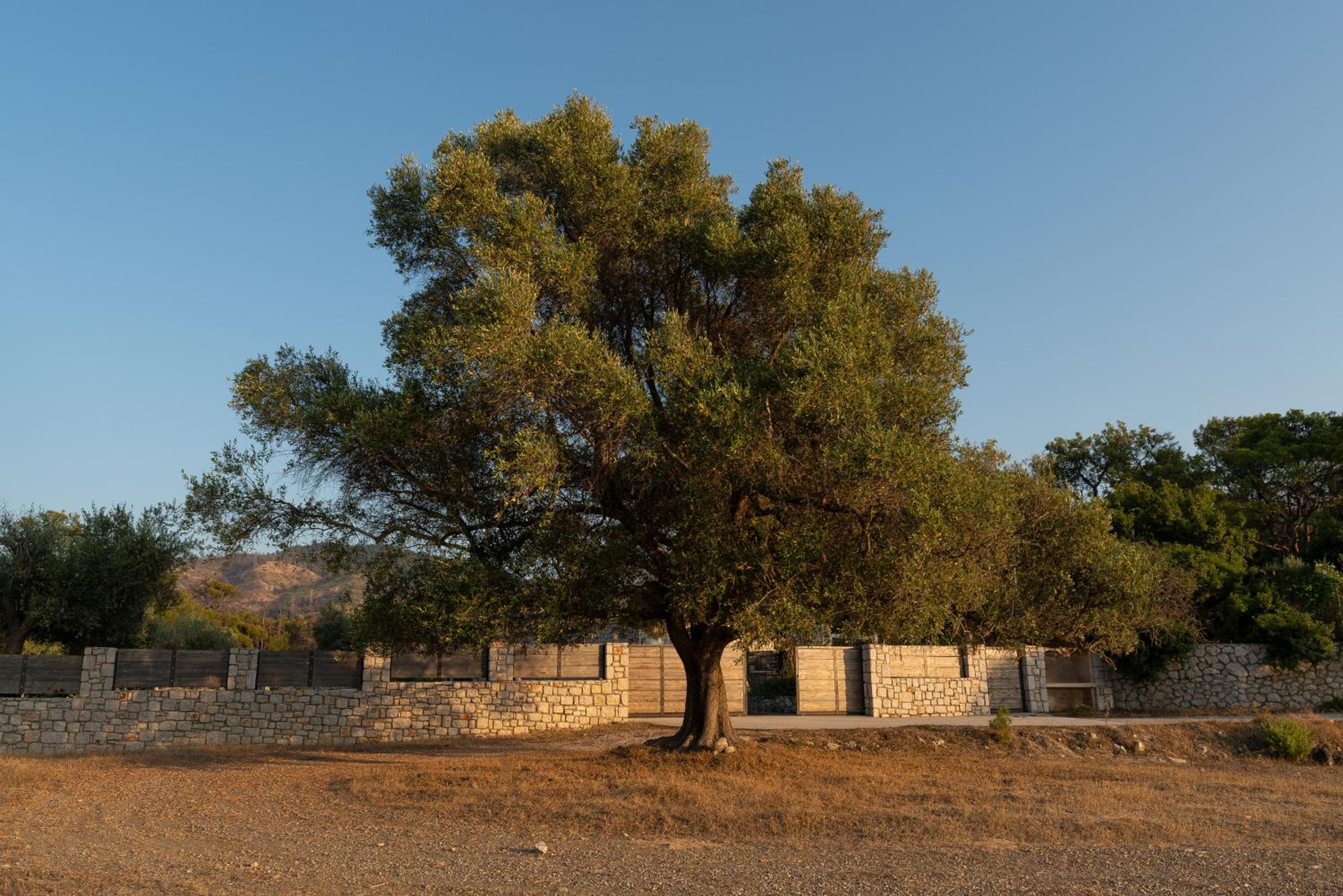 AGROTOPIA Guesthouses