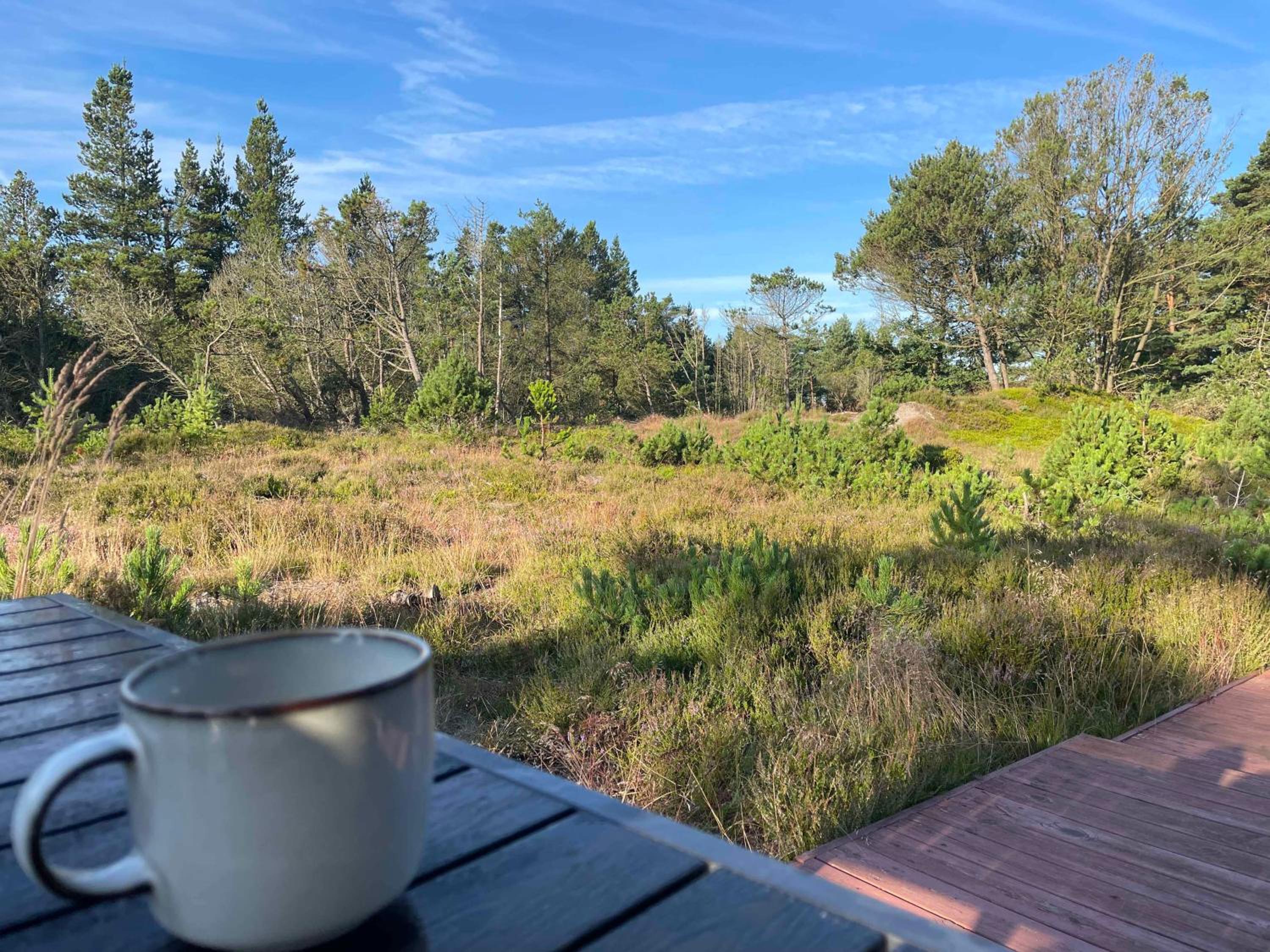 Unique Location On A Large Sunny Natural Plot