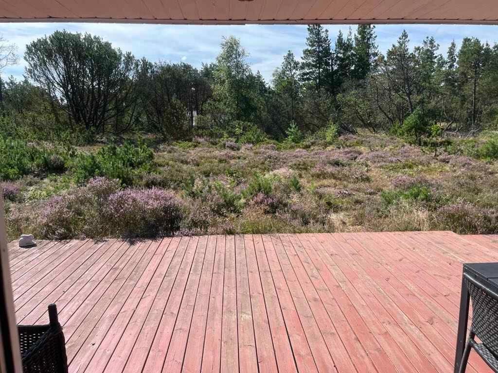 Unique Location On A Large Sunny Natural Plot