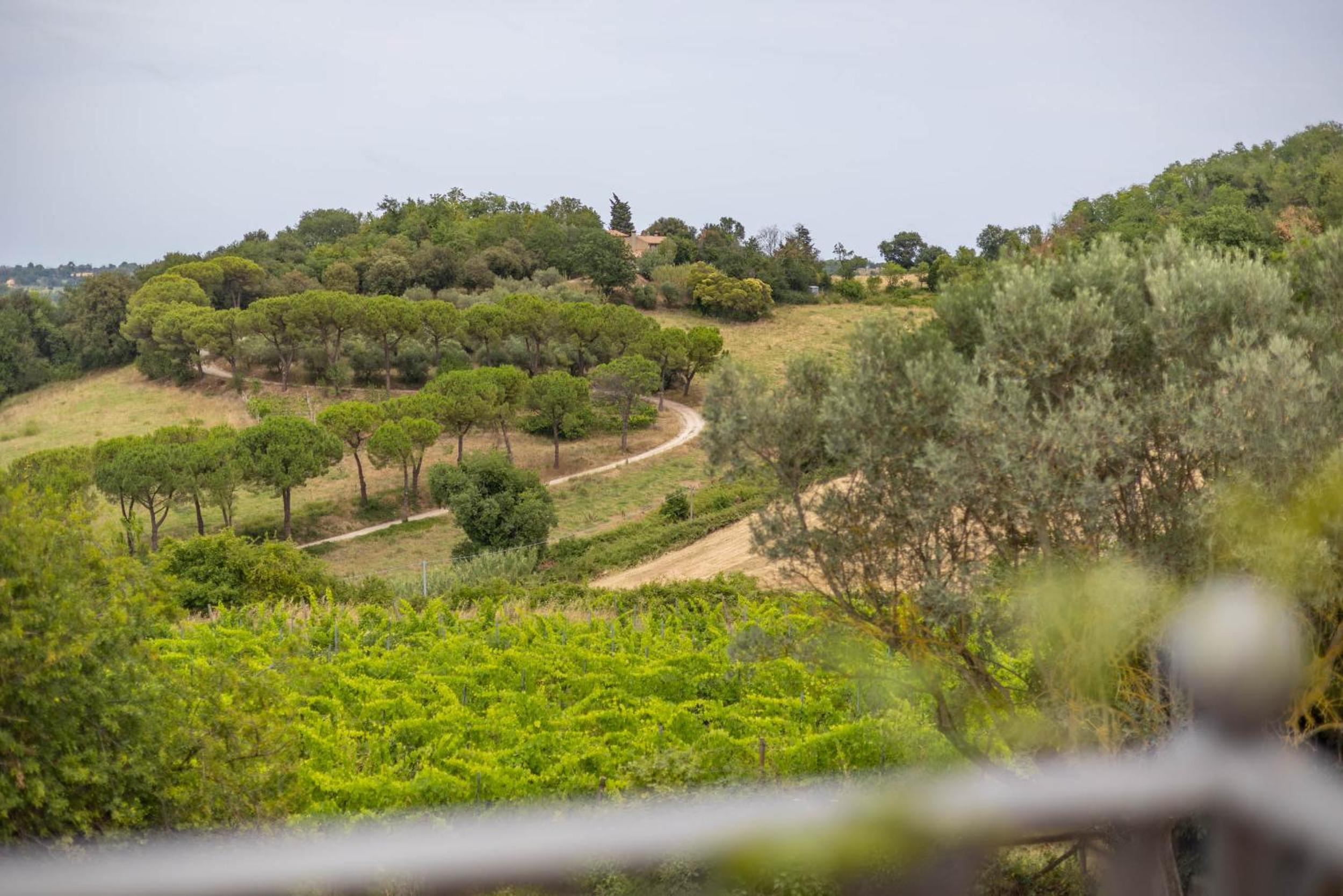 Agriturimo Cà Dorale