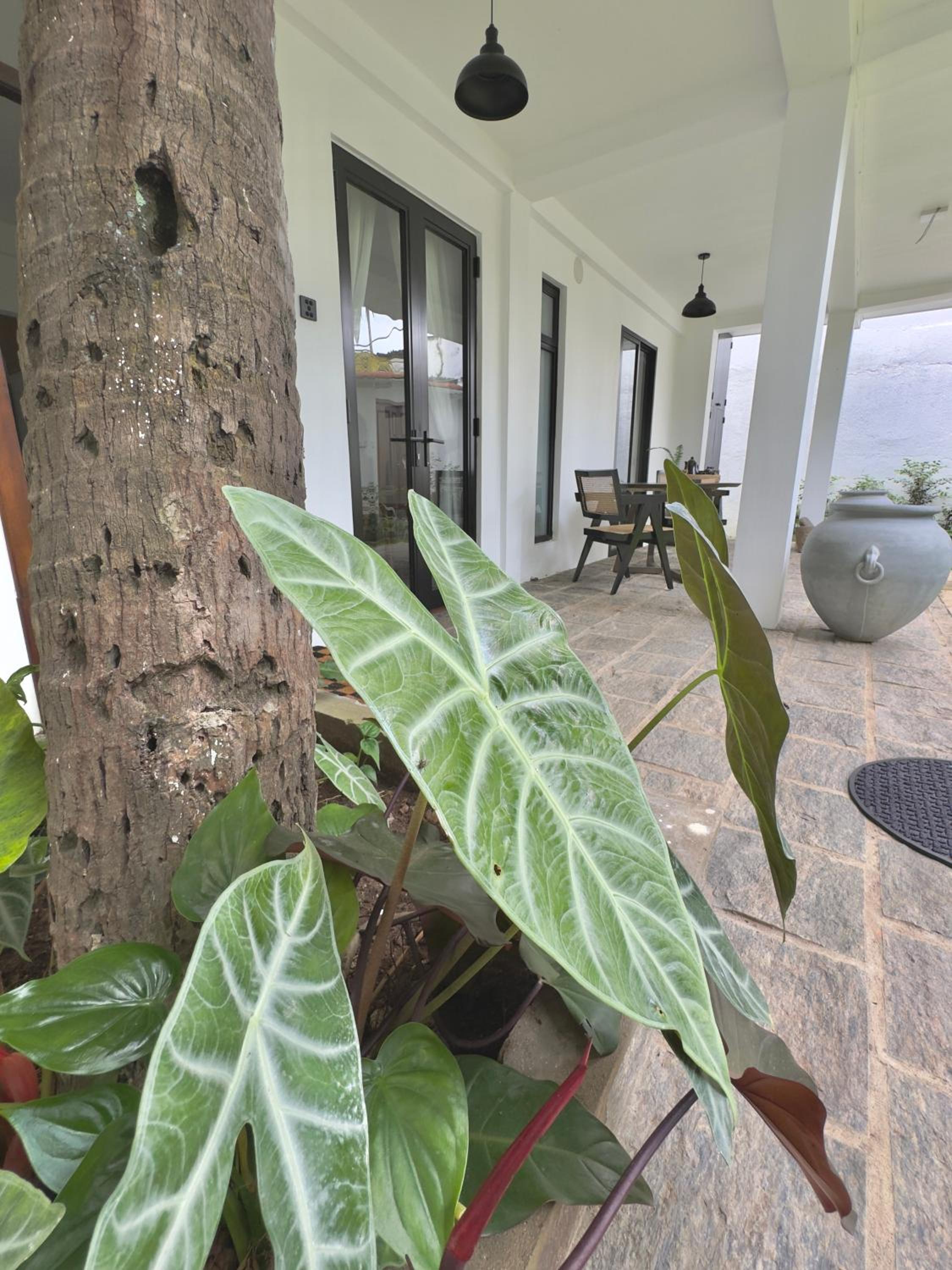 Villa Vikasa Colombo