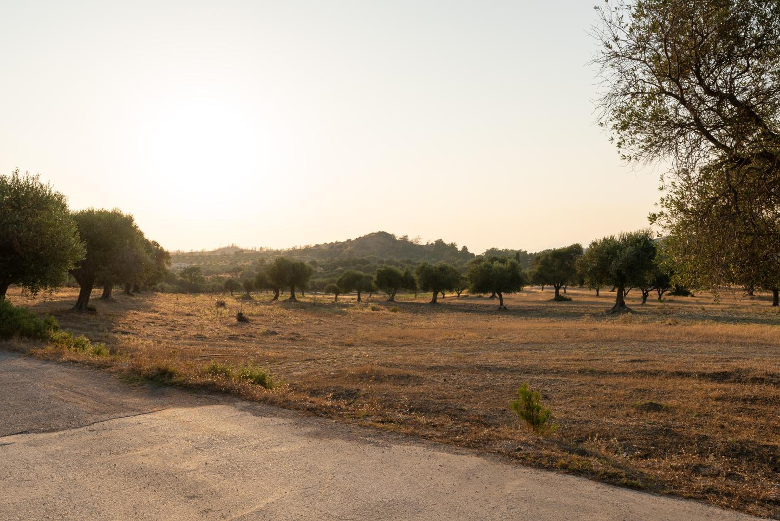 AGROTOPIA Guesthouses