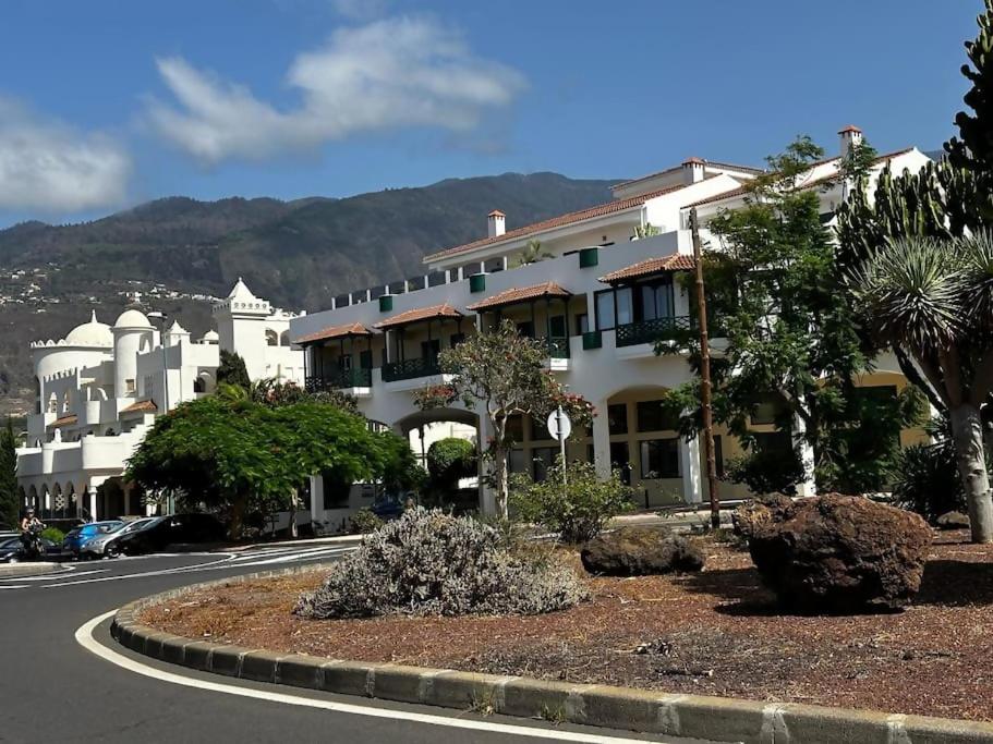Violetas del Teide