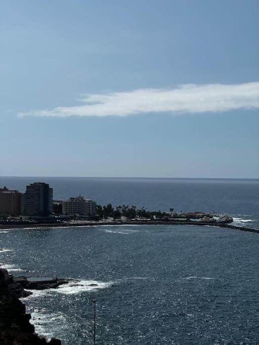 Violetas del Teide