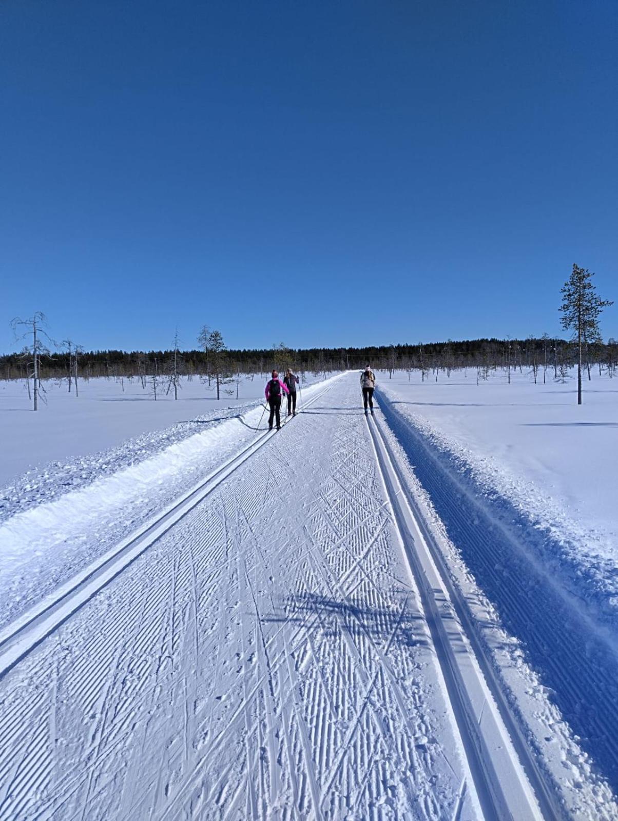 Porthos Ski-in Lodge with private hot tub and sauna in Lapland