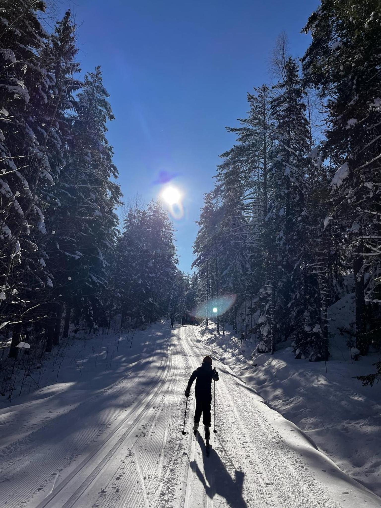 Porthos Ski-in Lodge with private hot tub and sauna in Lapland