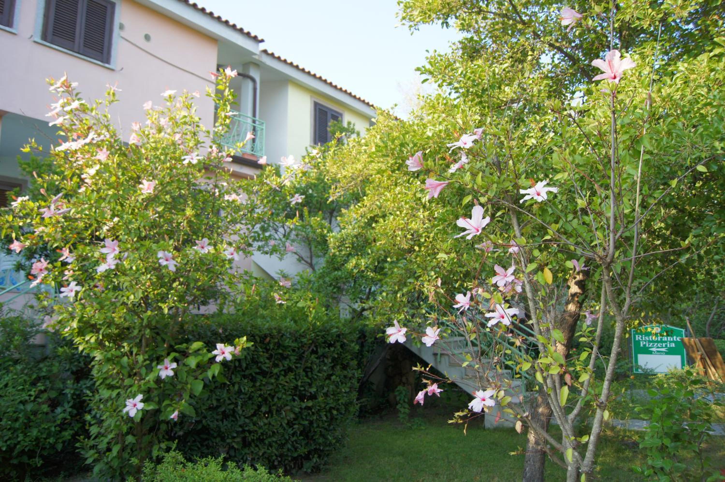 Photo 37