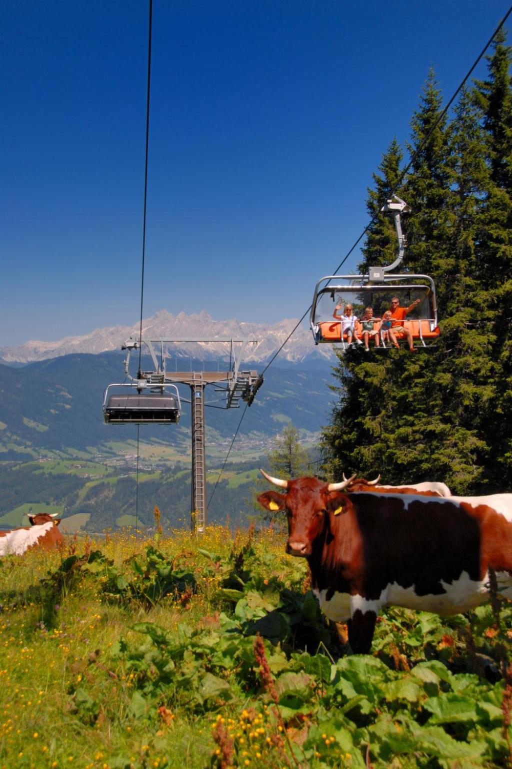 Apartment Dachstein by Interhome