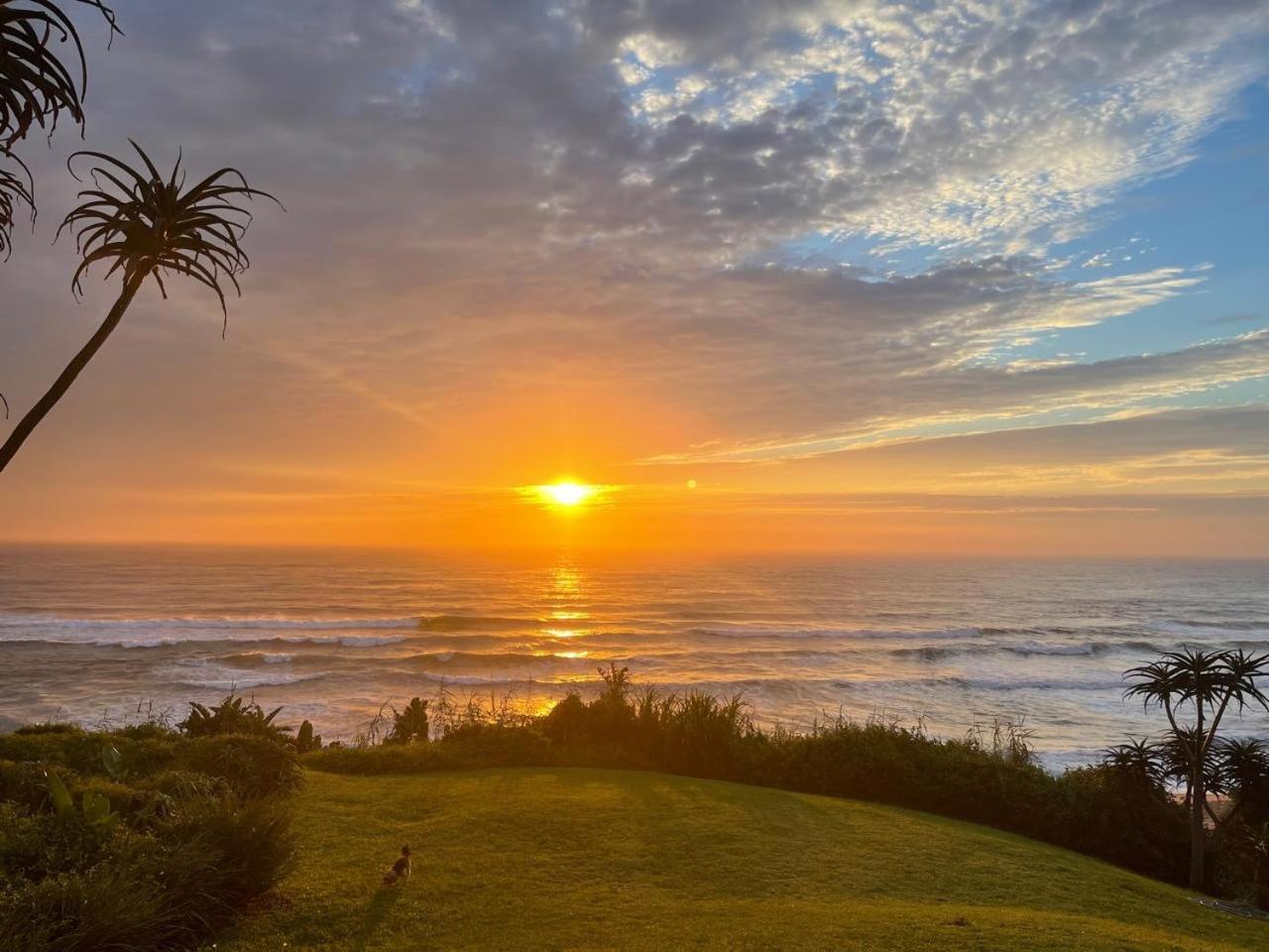 Milkwood Beach House