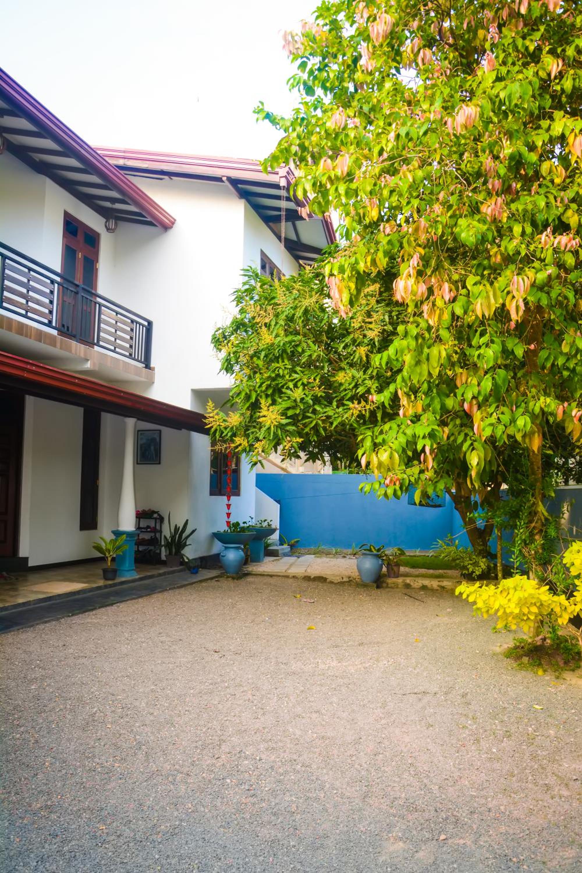 Ashi Villa &Homestay