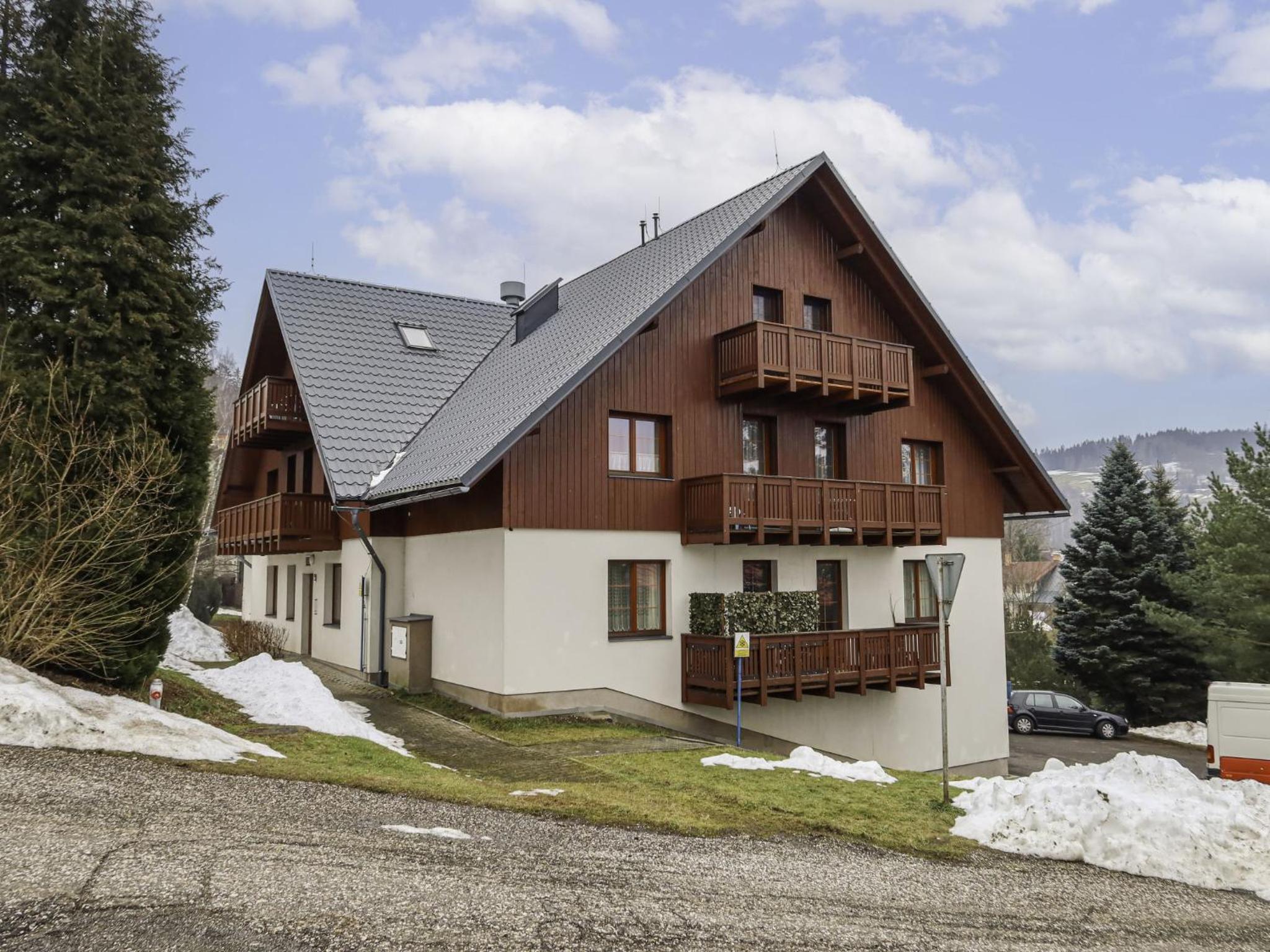 Apartment Horní Rokytnice-2 by Interhome