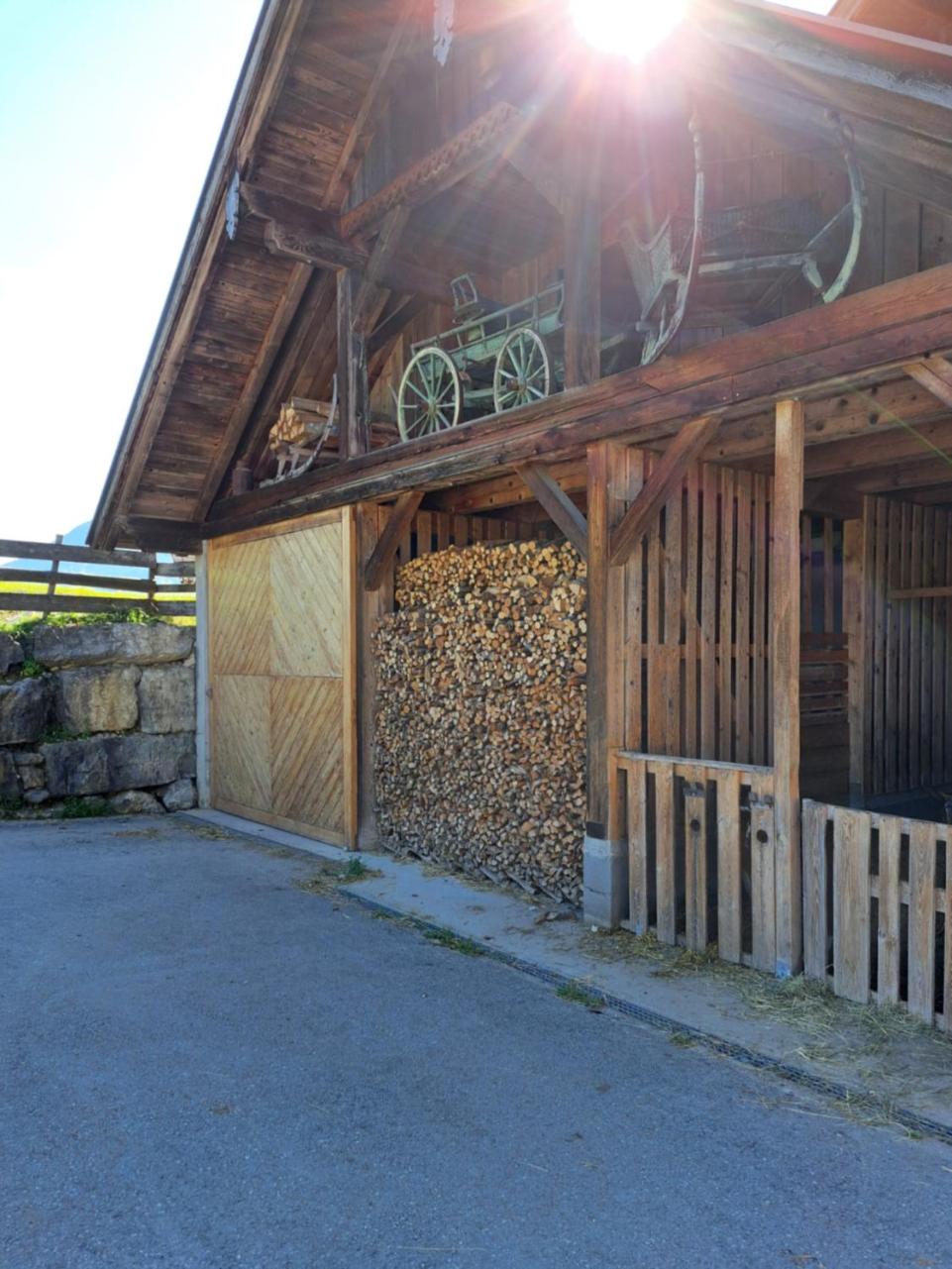 Ferienhof Brunbacher Wolfgangsee view 3