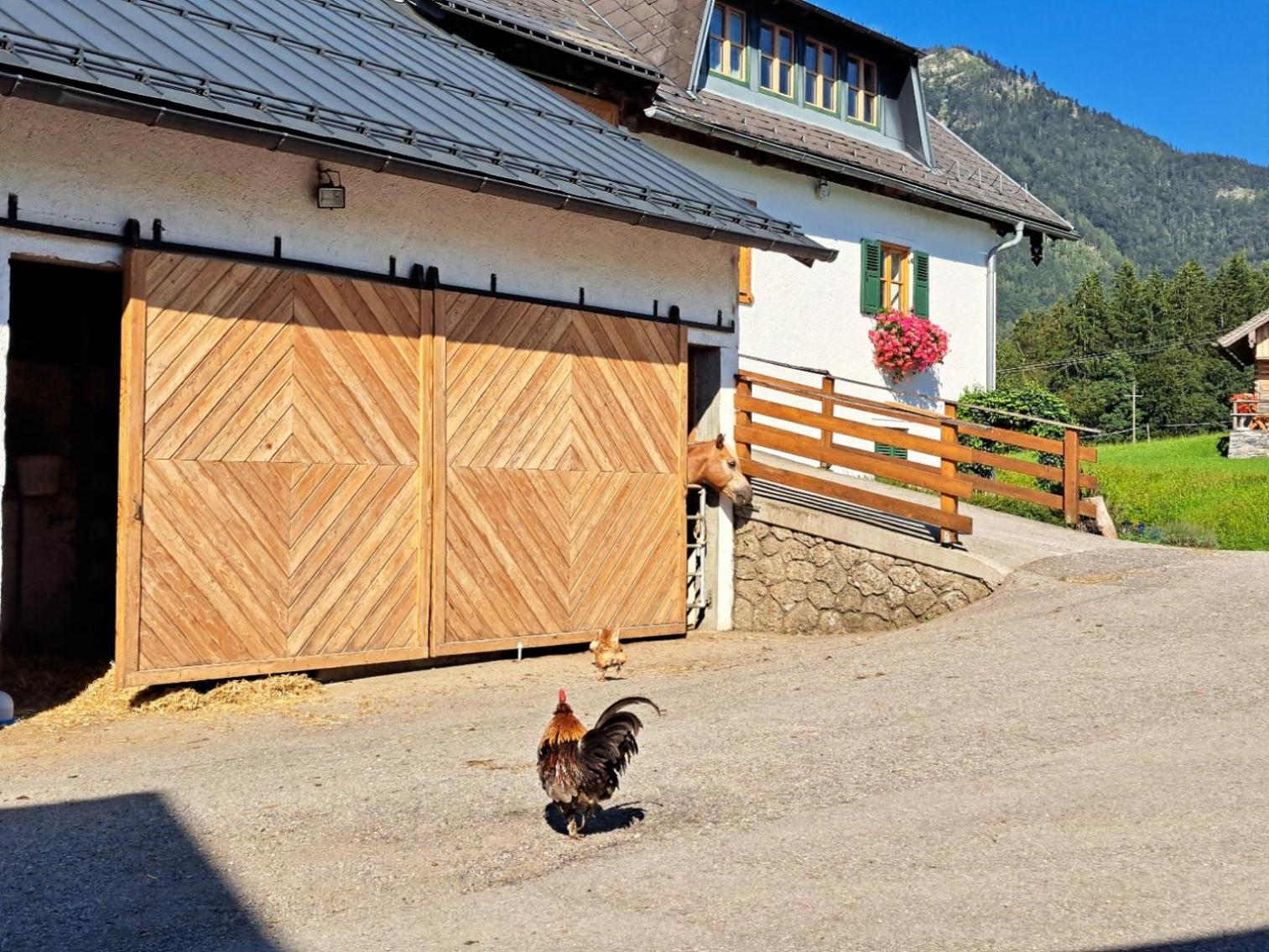 Ferienhof Brunbacher Wolfgangsee view 5