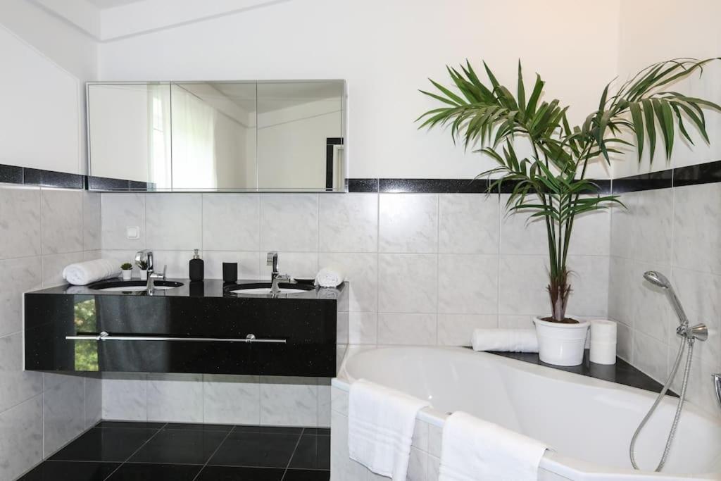 Regensburgs grandioses Apartment