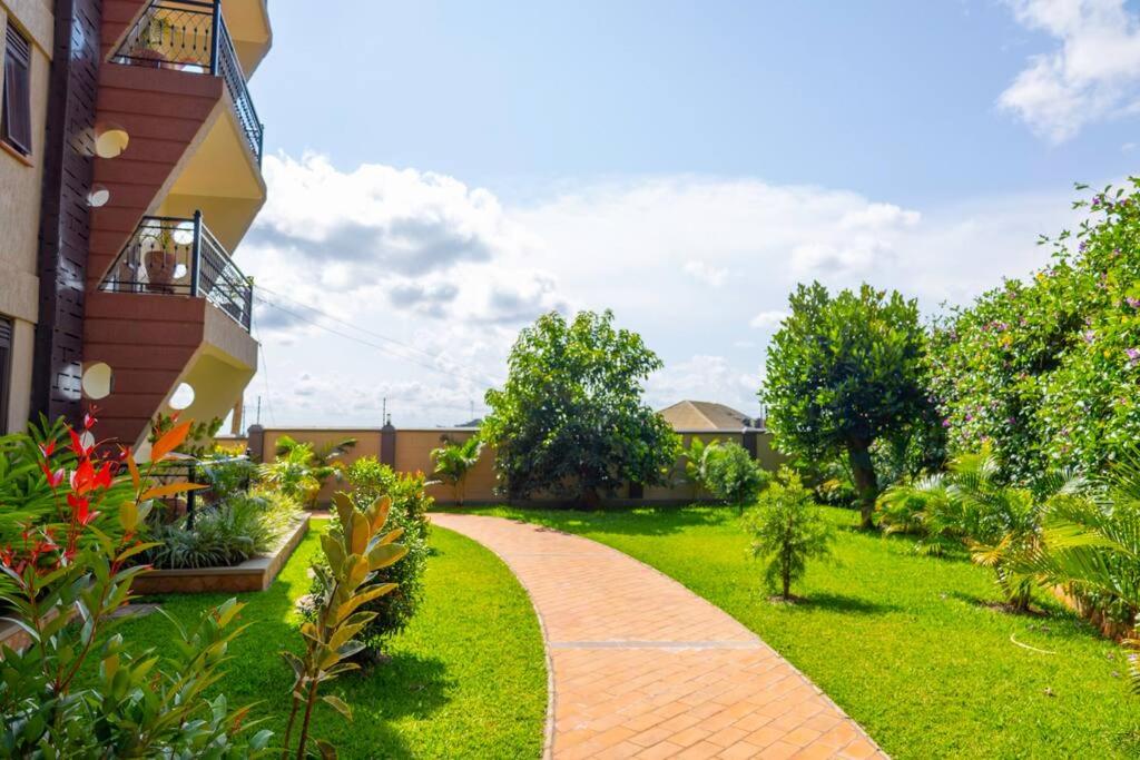 The beautiful Shams AO9 view 2