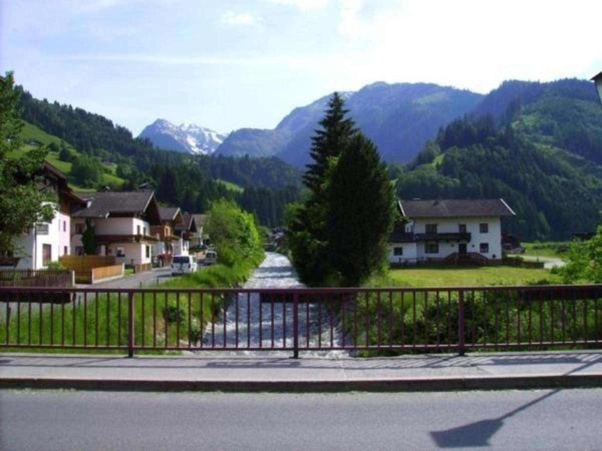 Ferienhaus Dankl in Hollersbach im Pinzgau