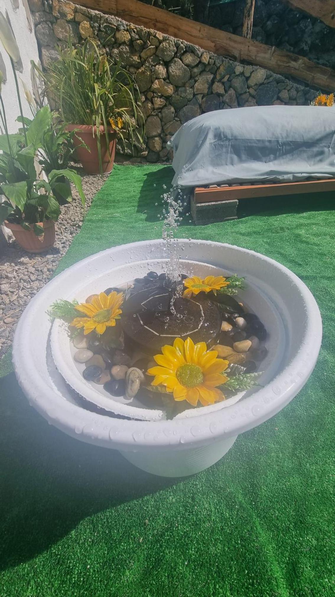 Finca aurora Ecorural