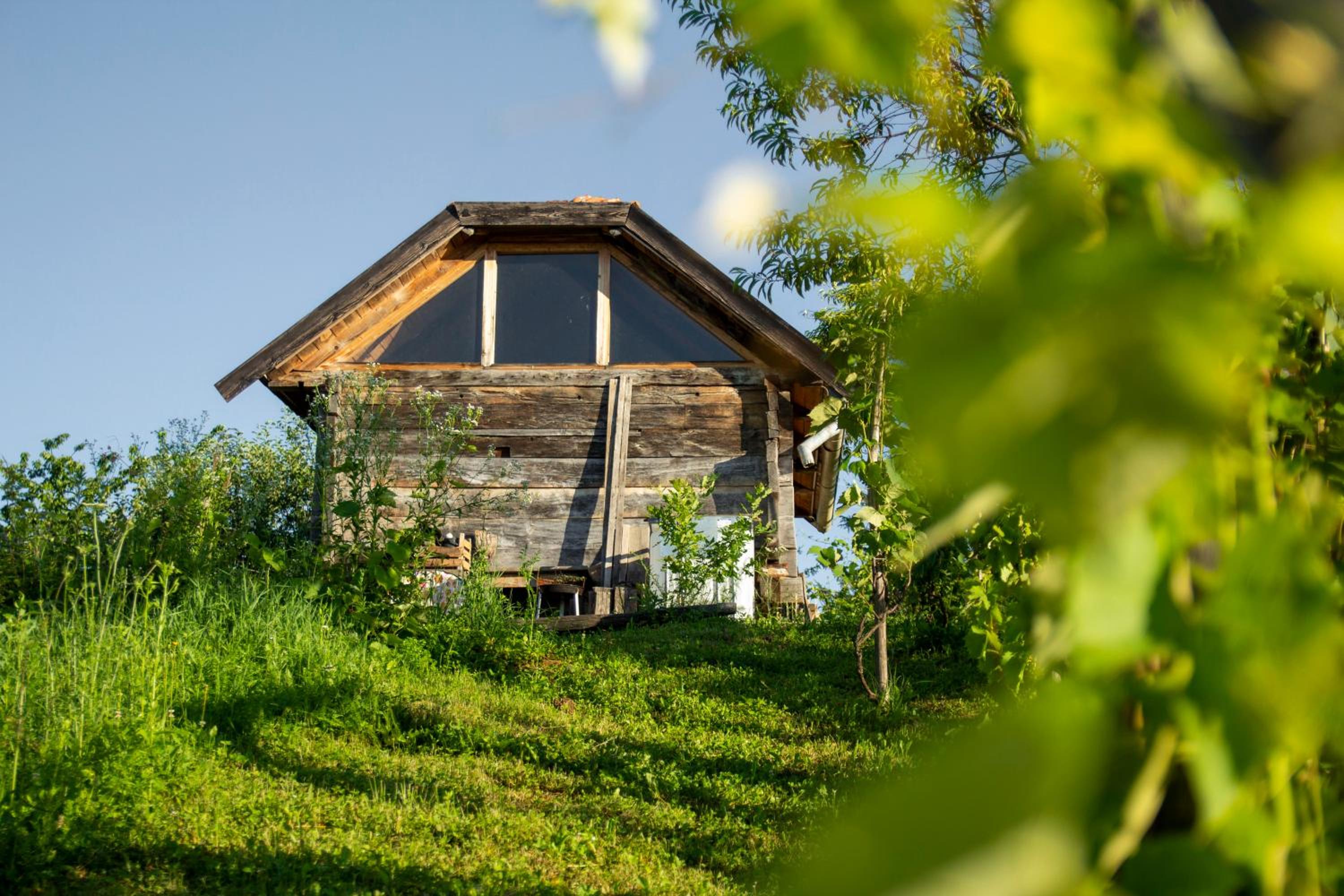Deda Vinko Off Grid Cabin view 2