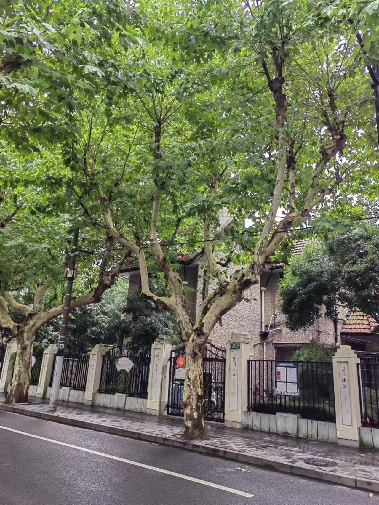 Shanghai Historical Forest Cabin loft With Balcony at second floor near middle Huaihai road