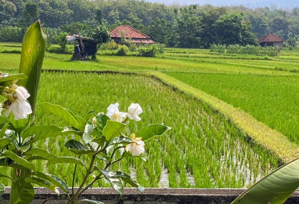 North Bali Beachhouse Ayu view 5