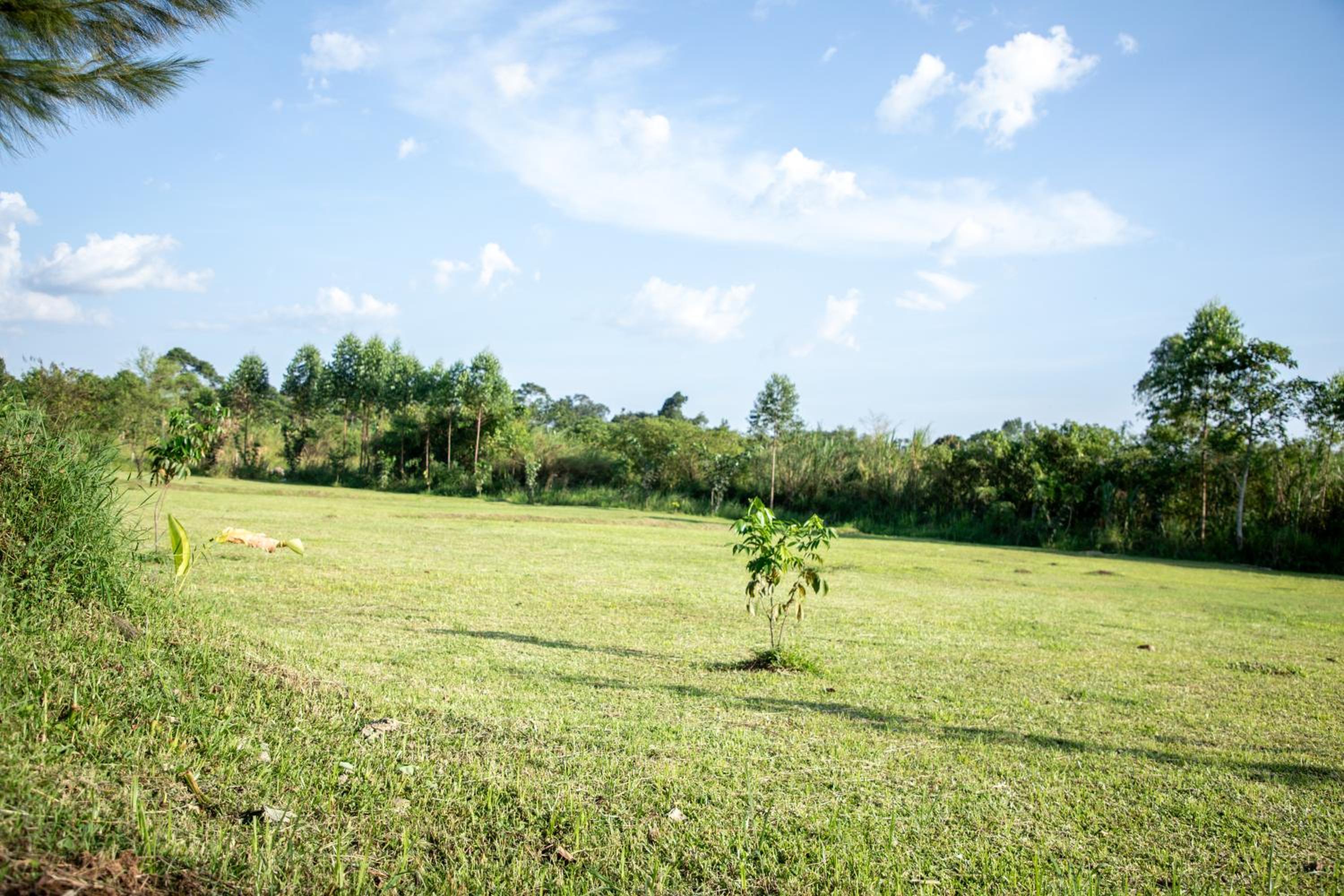 Nagalaale Country House view 4