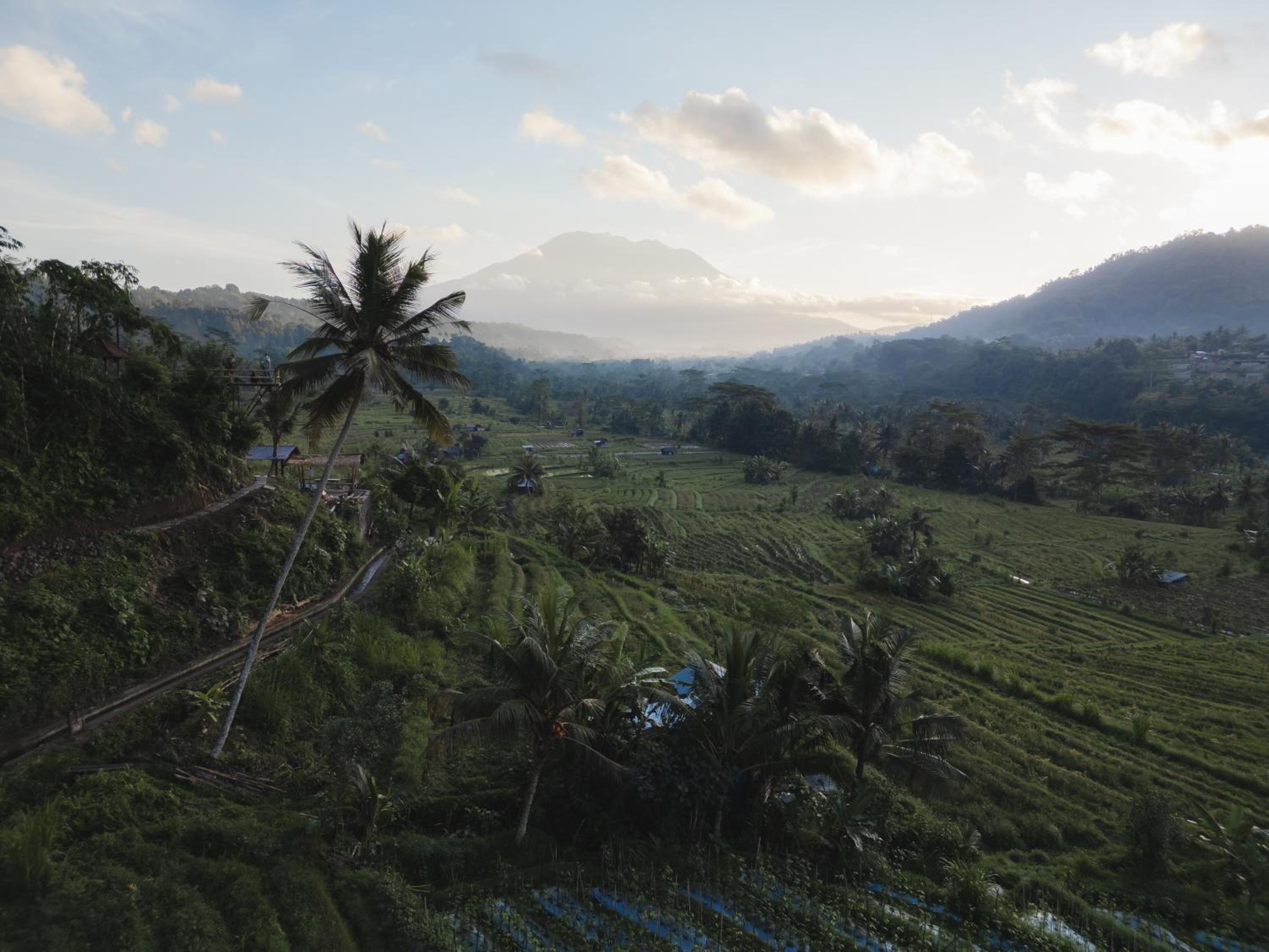 NUMA Bali Hotel view 4