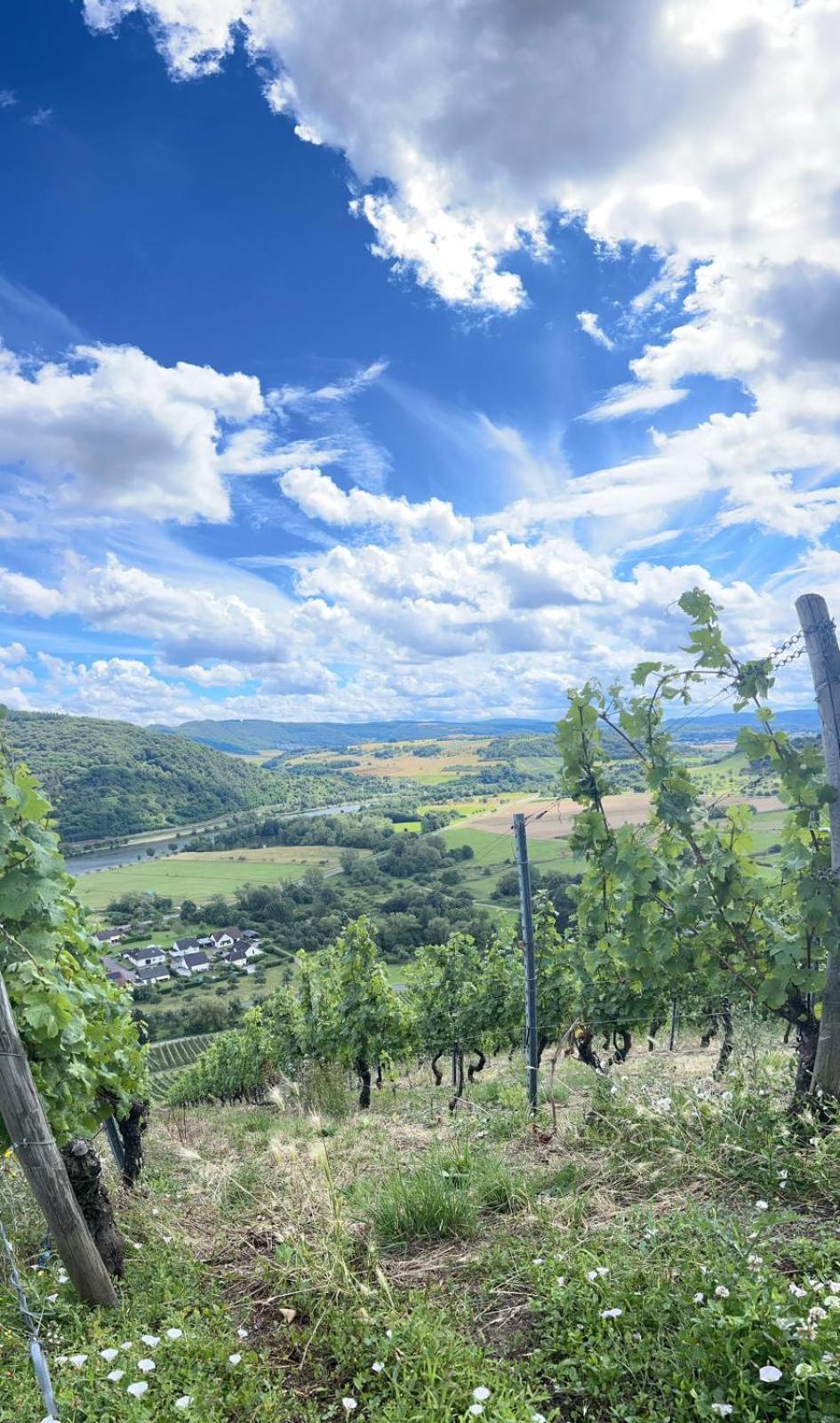 Ferienwohnungen Im Kimmelreich