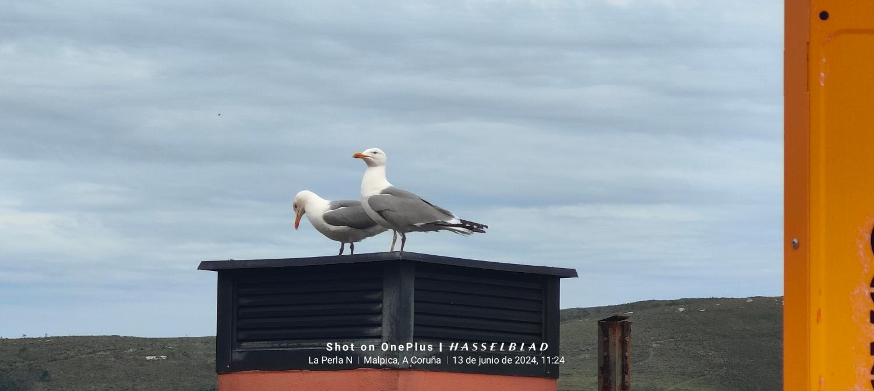 other