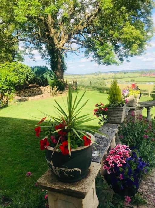 Uplands House Tewkesbury
