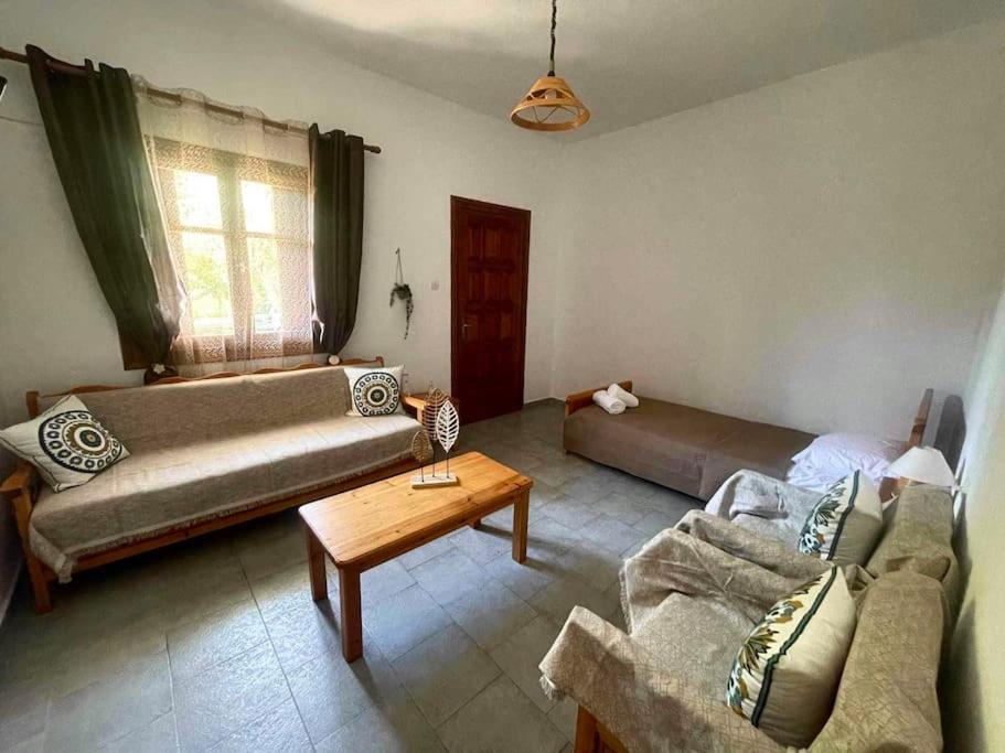 Zirganos Horton Pelion Apartments 1 view 5