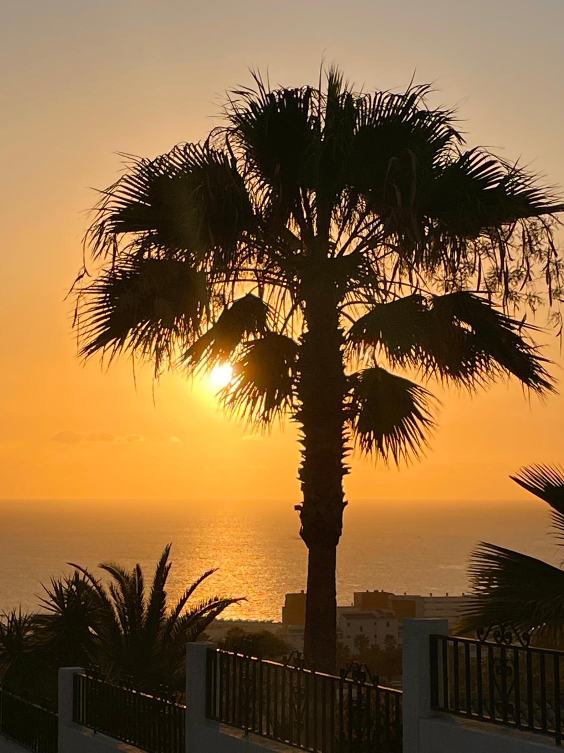 Tenerife Holidays