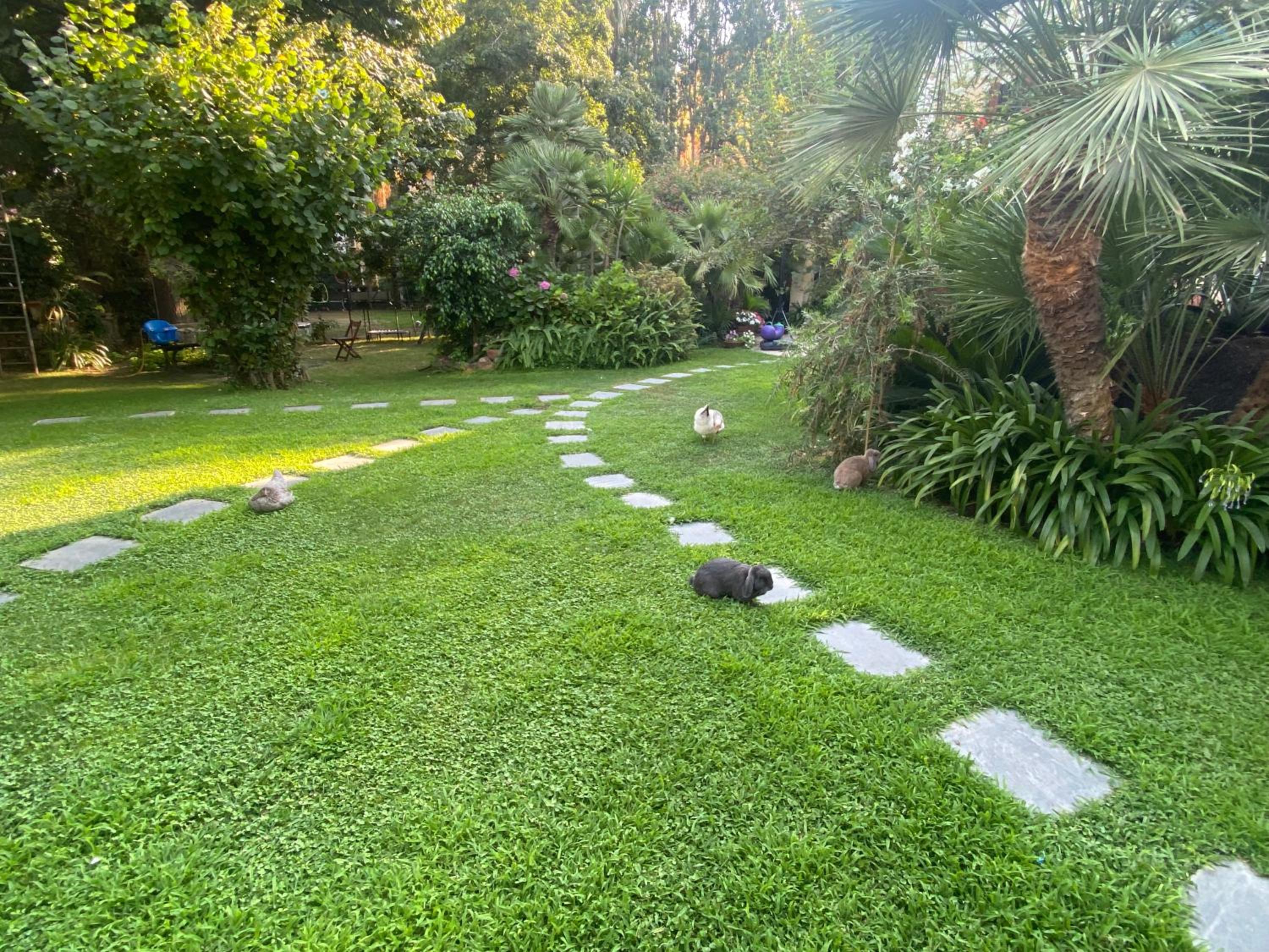 Photo 42