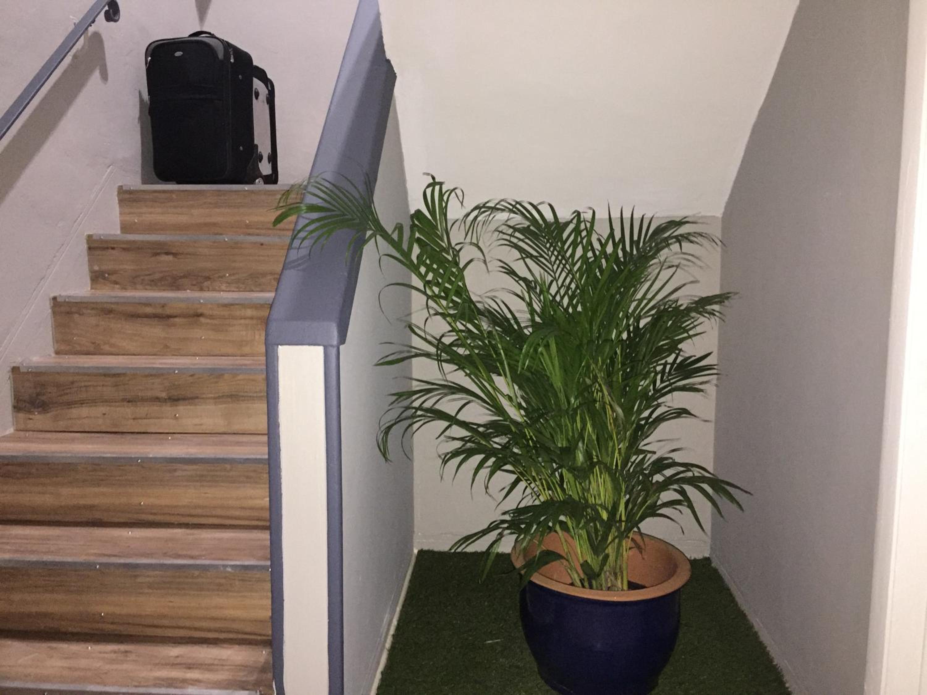 Miami 1BR apt W Free Parking and Wifi