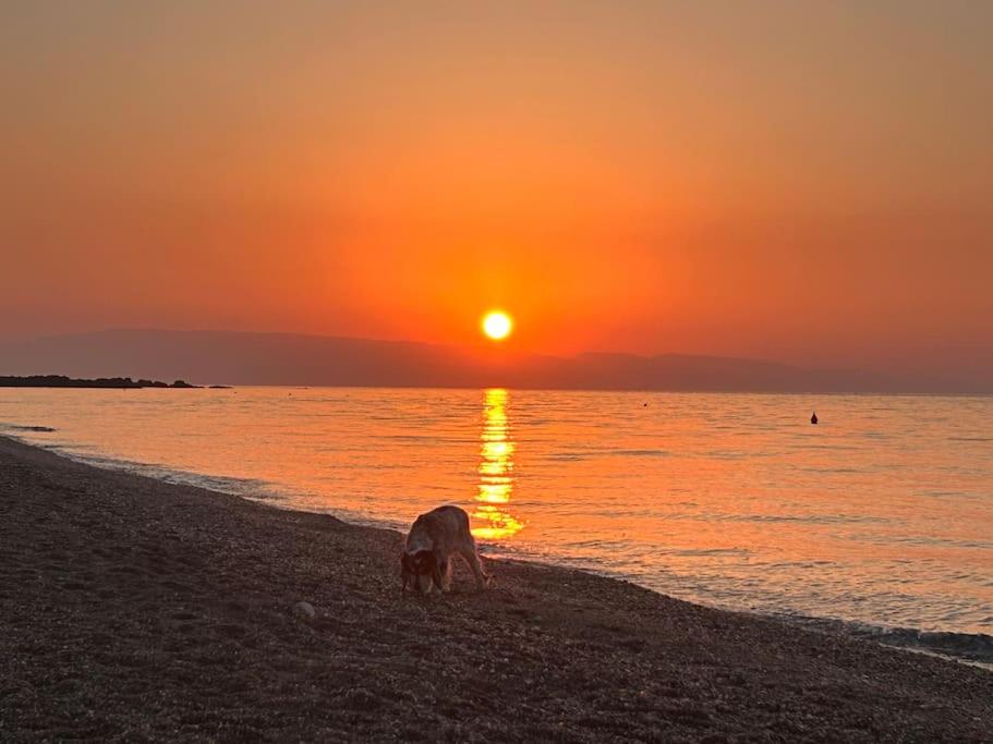 Casa del Sileno 12 photo 4