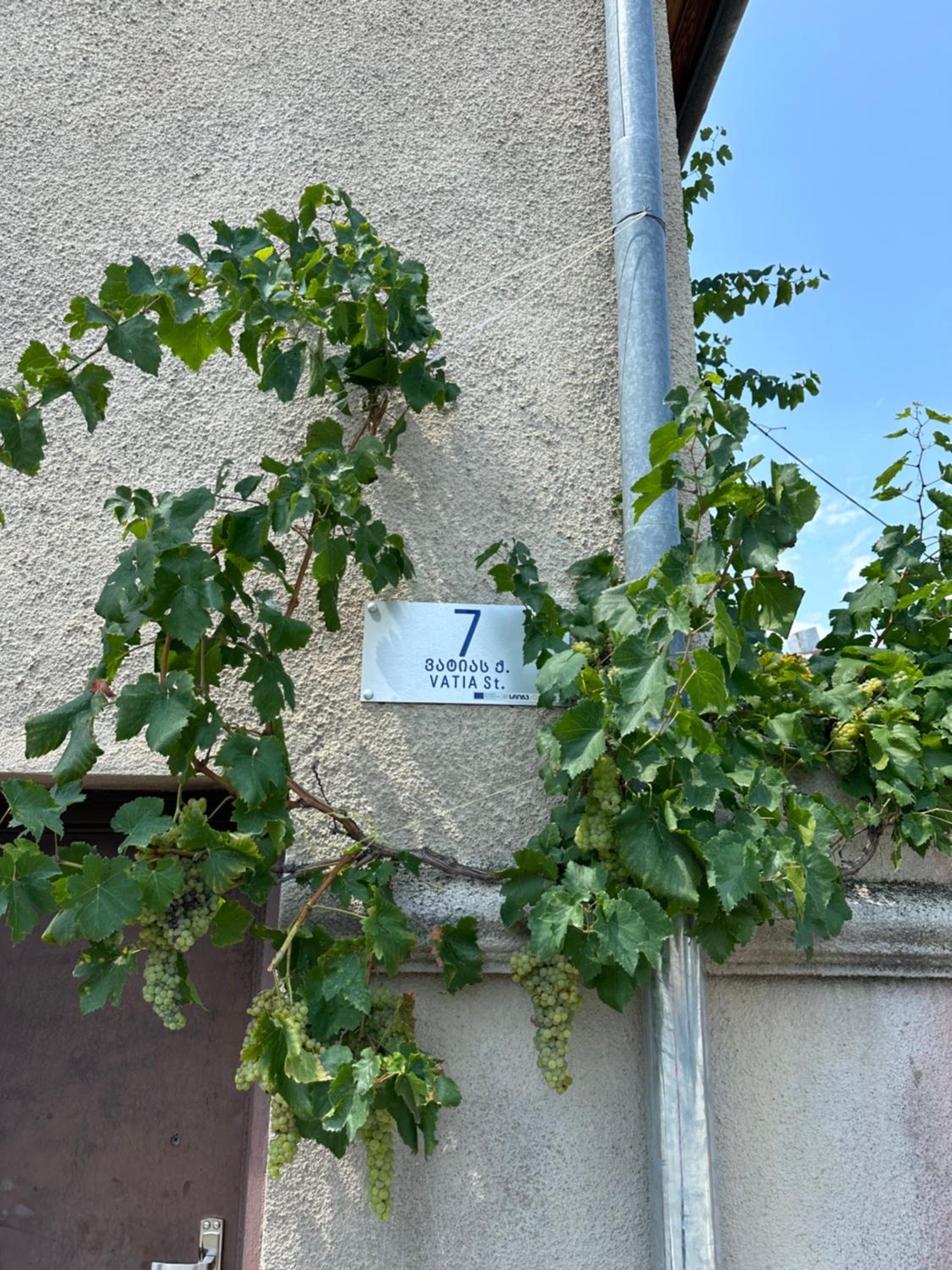 Photo 40