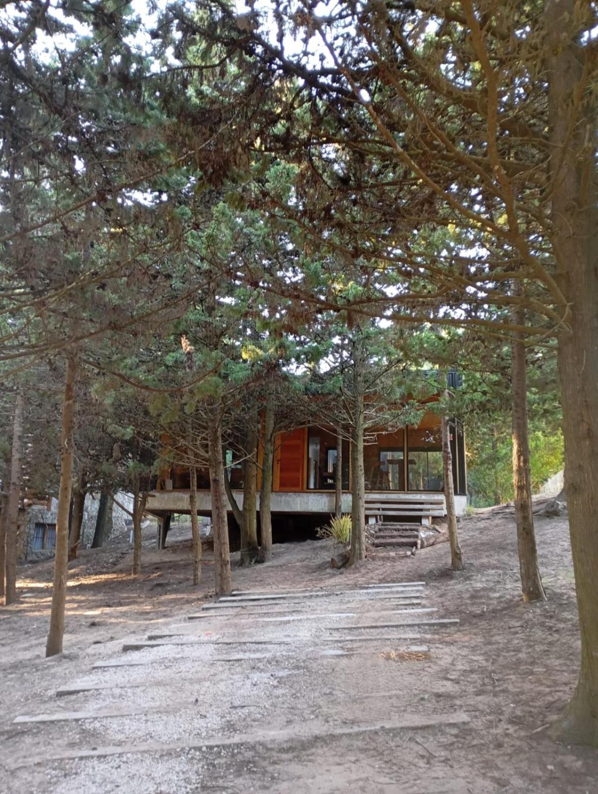 Cabaña bosque Mar de las Pampas