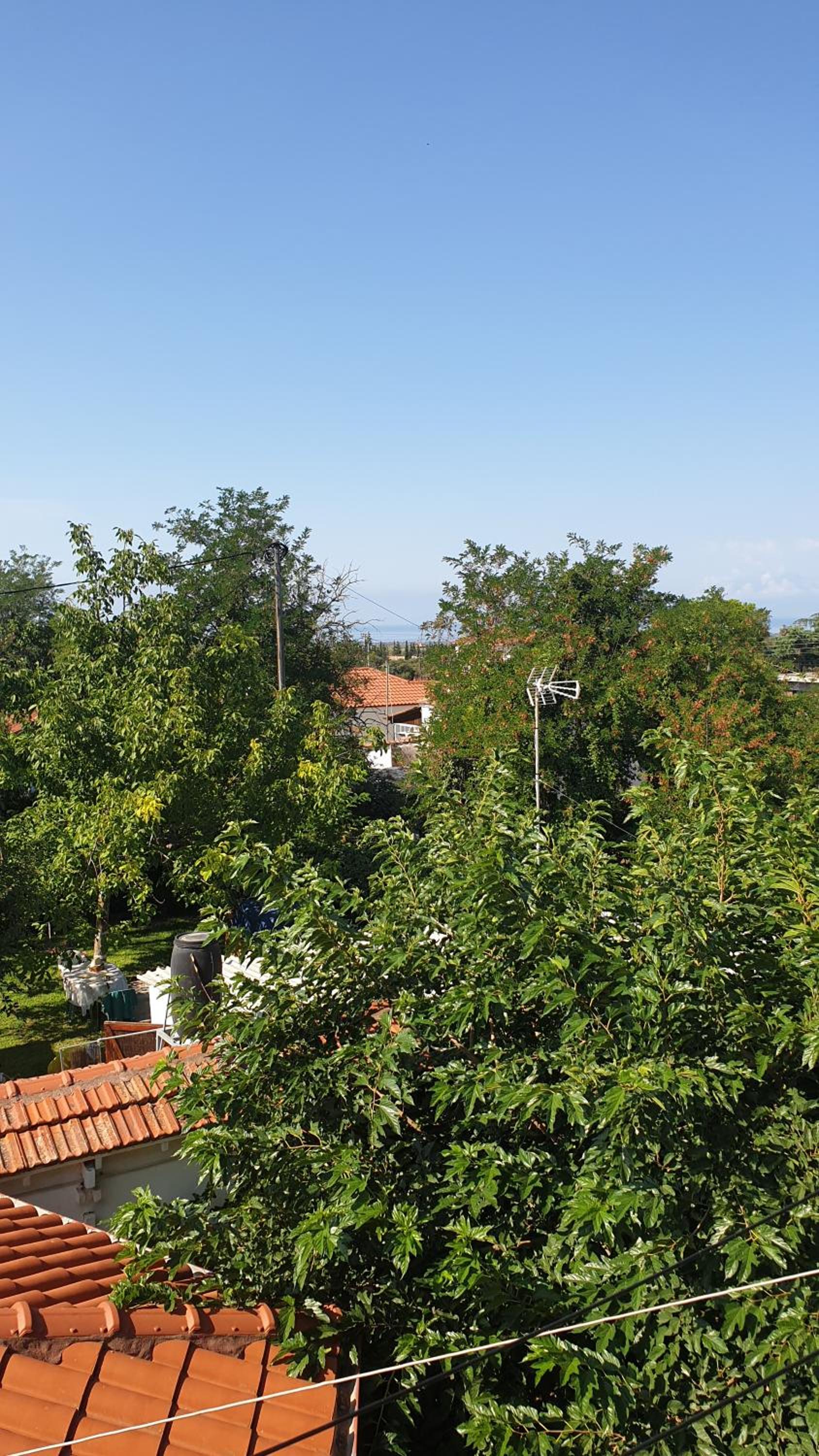 Pavlos House