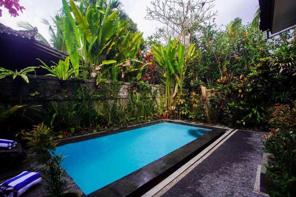 Private Villa 2 bedroom view 4