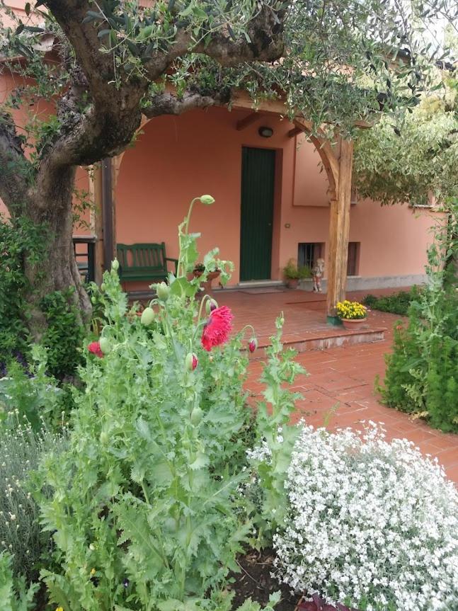 Photo 19