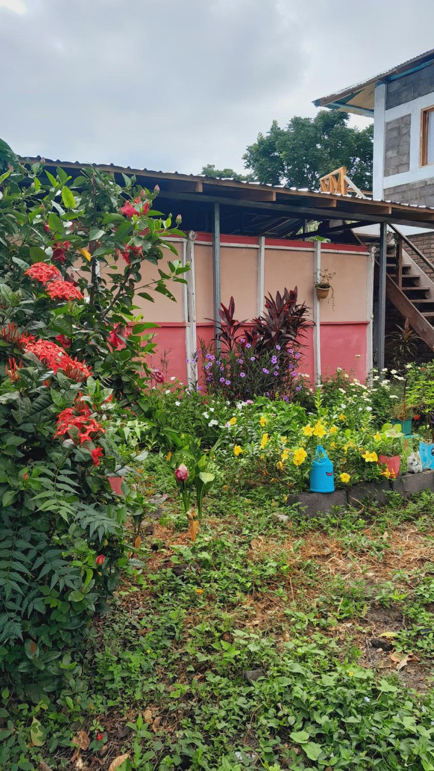 Hospedaje Bananas view 3