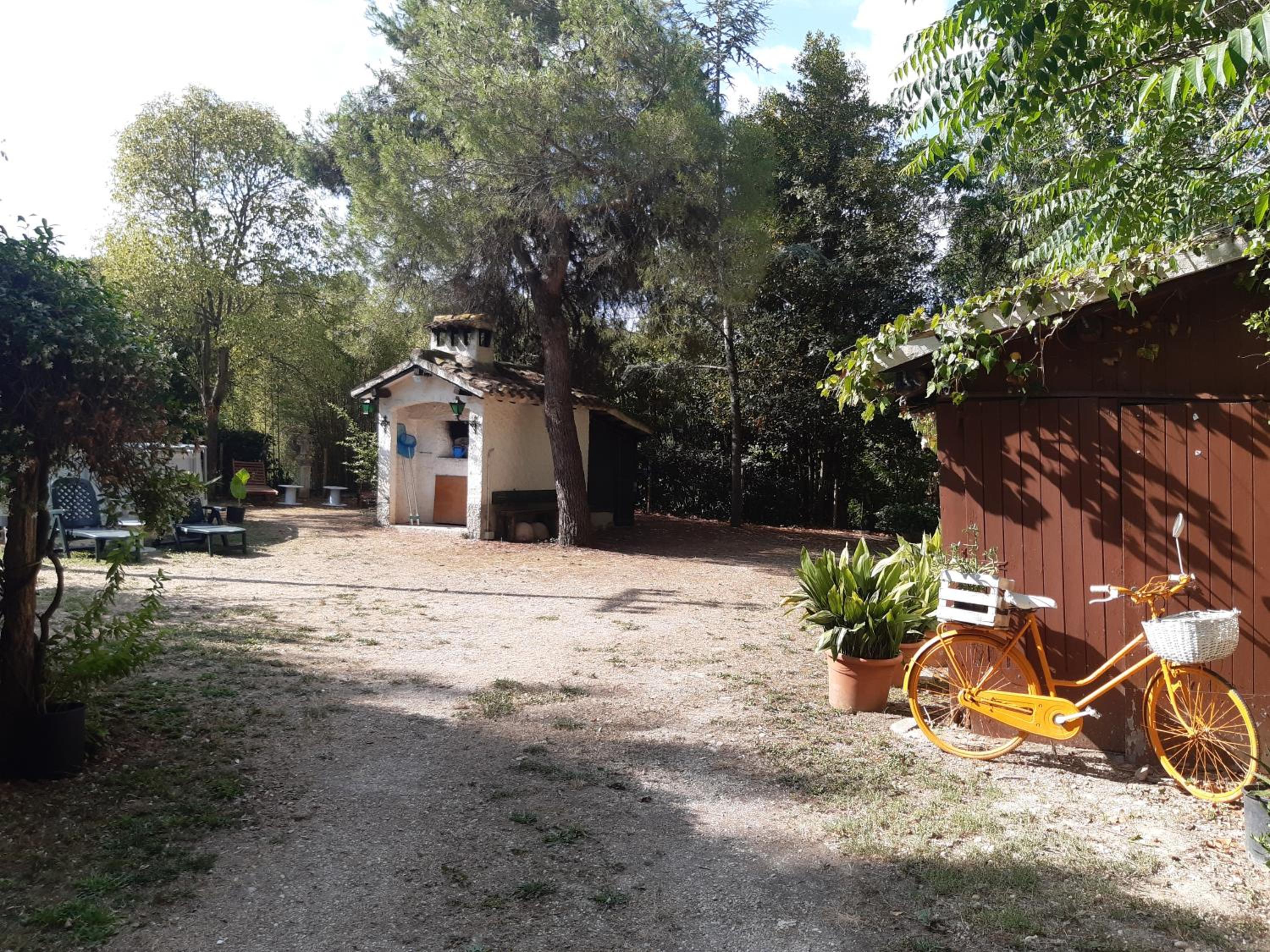 Photo 8