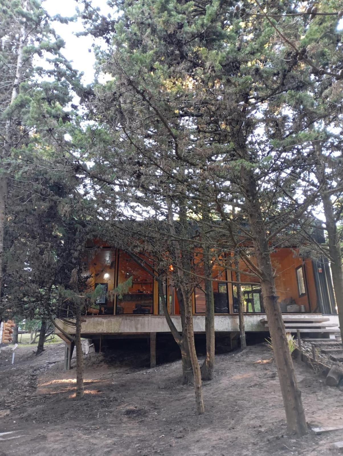 Cabaña bosque Mar de las Pampas