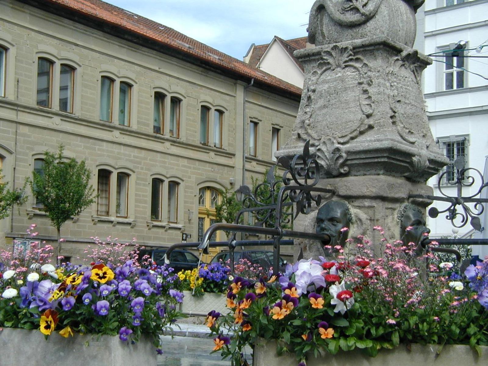 Photo 41