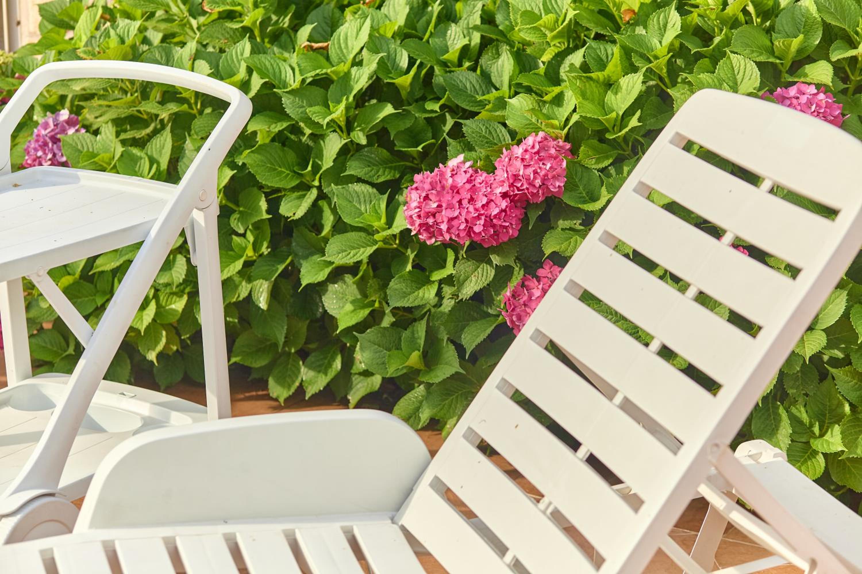 Green Hill 2 Apartments photo 3