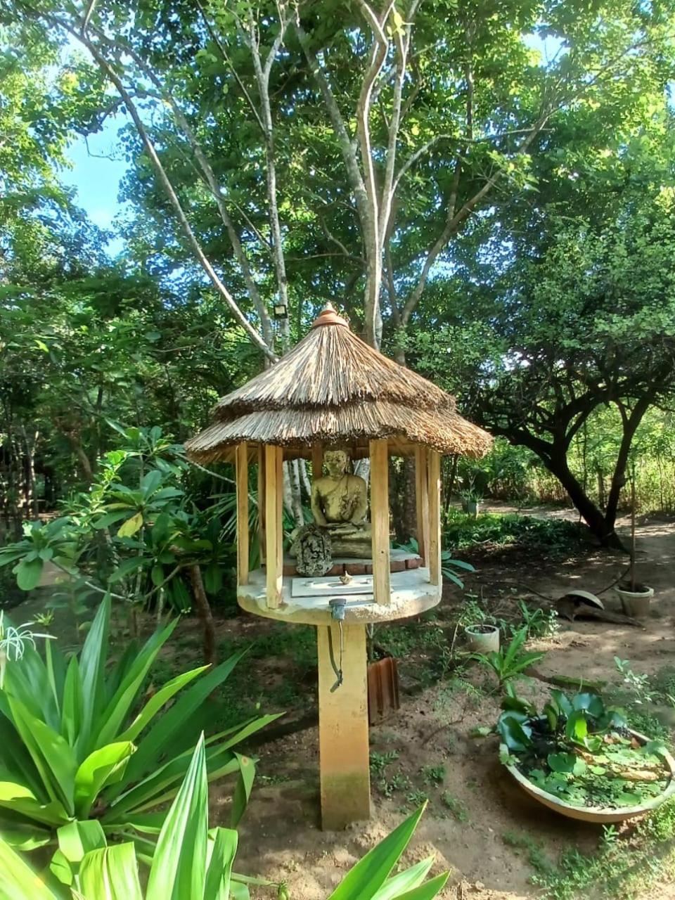 Photo 21