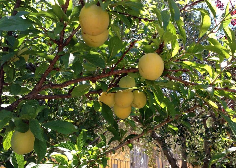 other