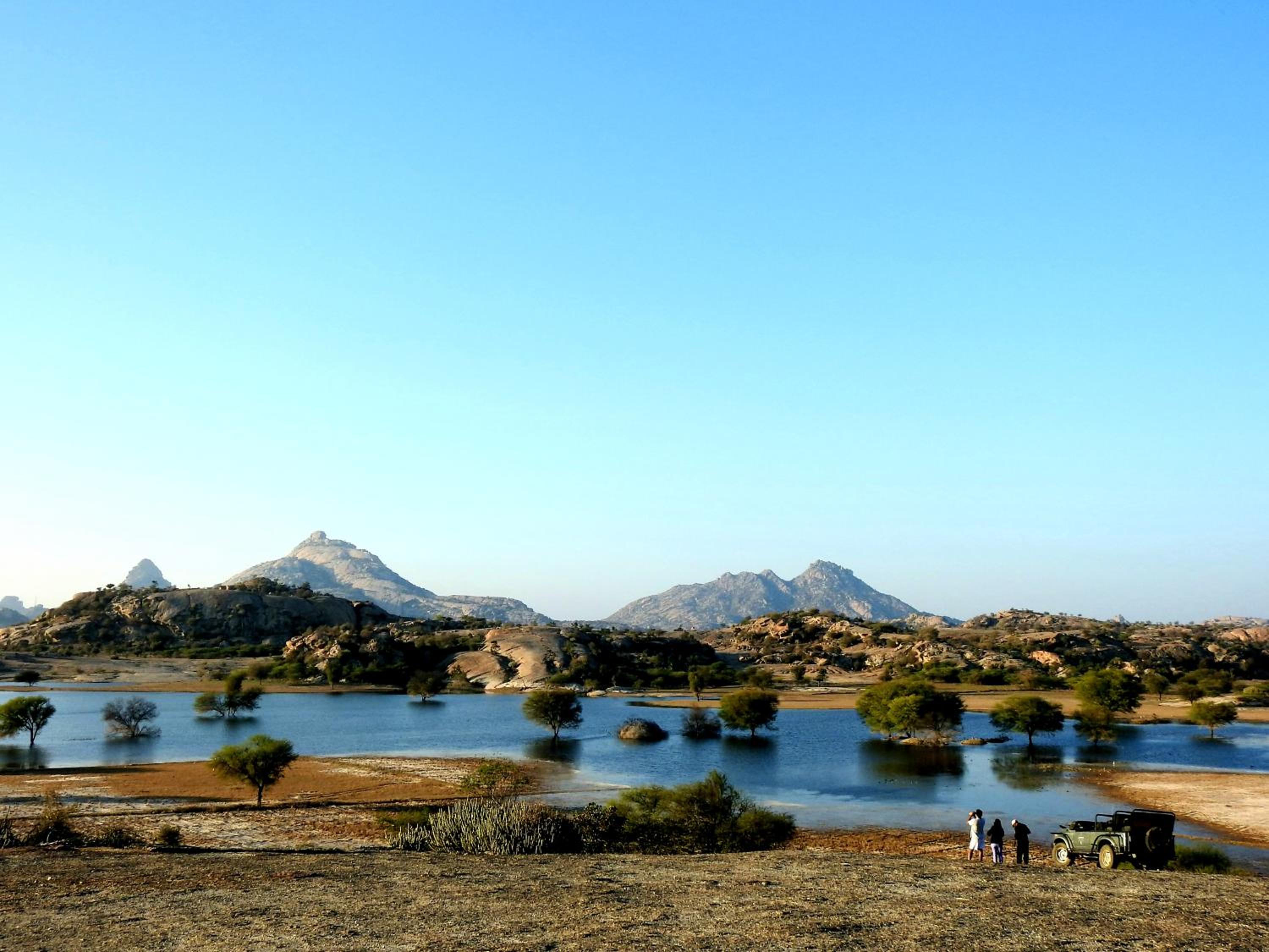 JAWAI WILD LODGE view 3