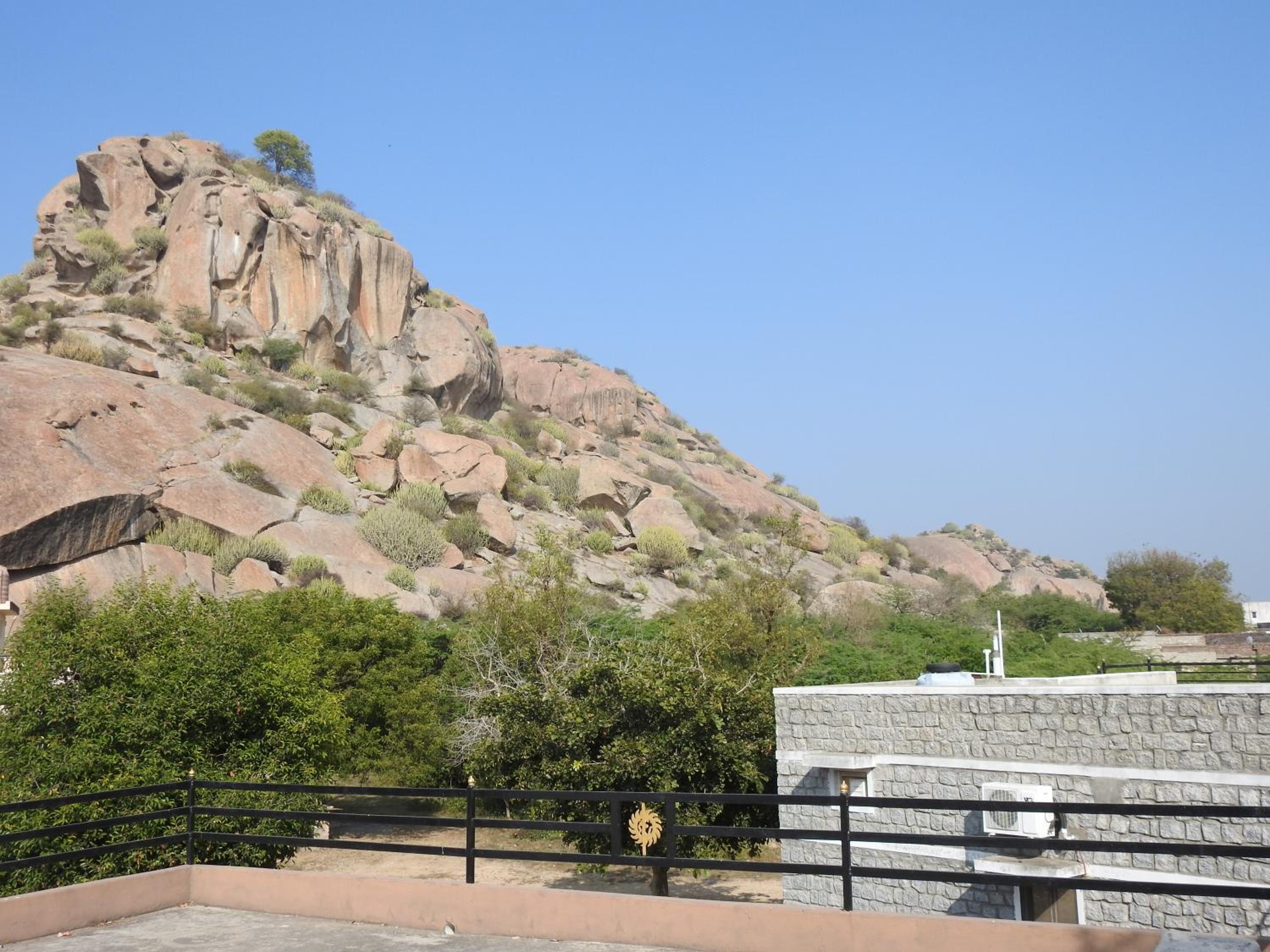 JAWAI WILD LODGE view 4
