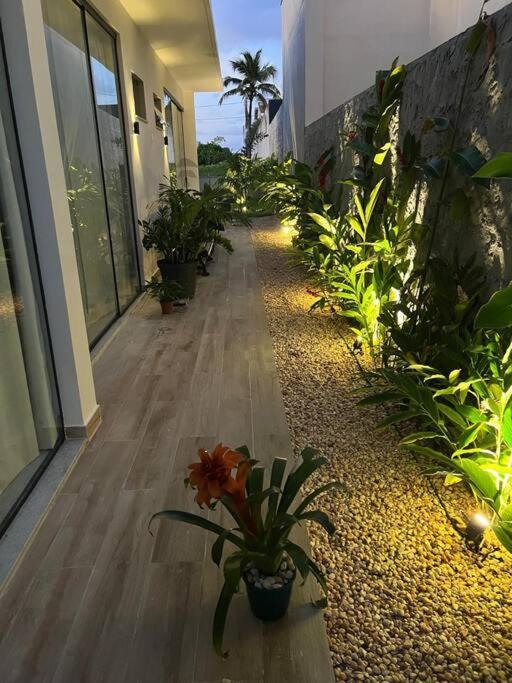 Casa Oasis